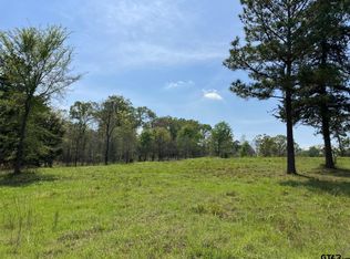 16730 Ridgeline Loop, Winona, TX 75792