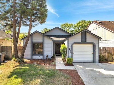 1240 Pin Oak Dr, Apopka, FL, 32703