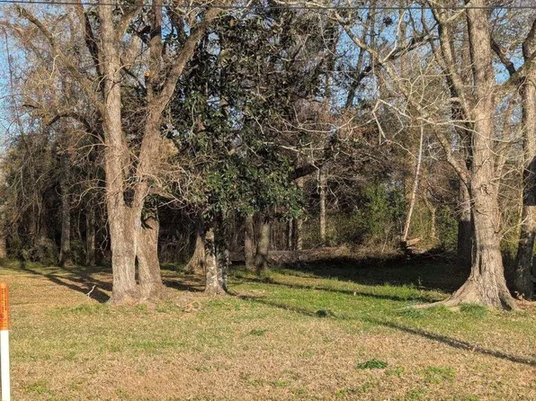 29870 S Magnolia St, Livingston, LA 70754