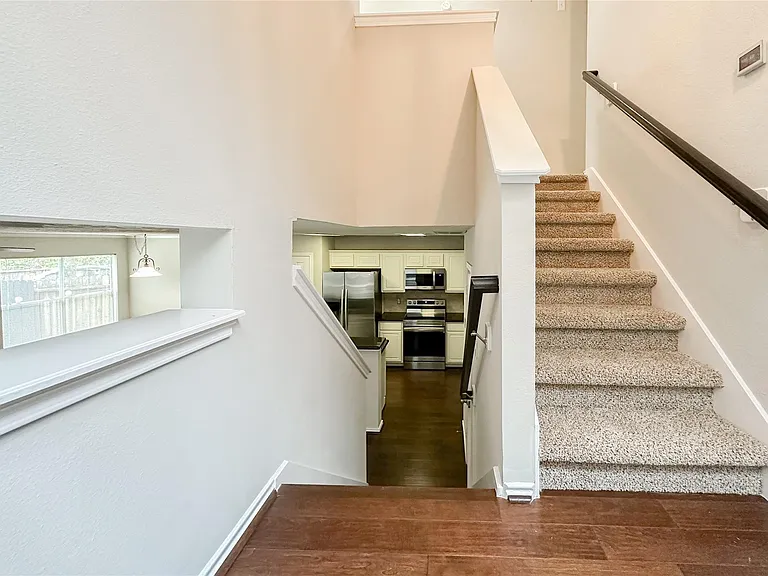 131 Anise Tree Pl — Photo 4