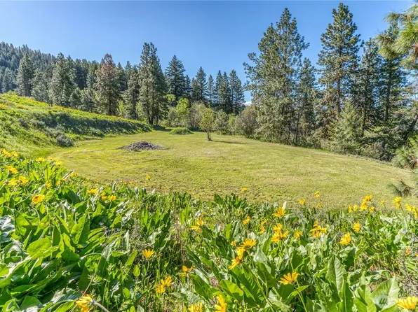 0 Sky Meadows Road, Cashmere, WA 98815