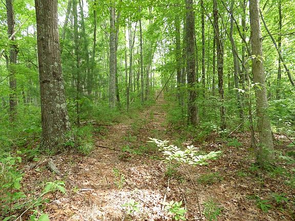 5th image of 2895 Cope Creek Rd