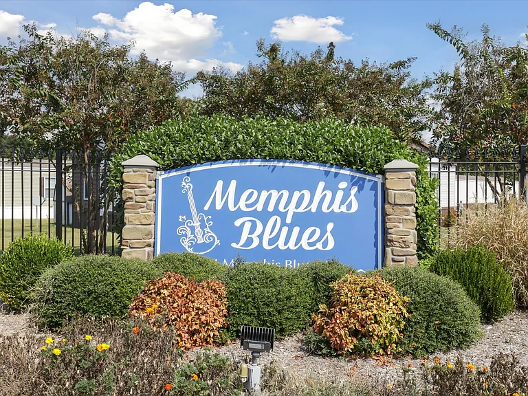 Memphis Blues — Photo 17