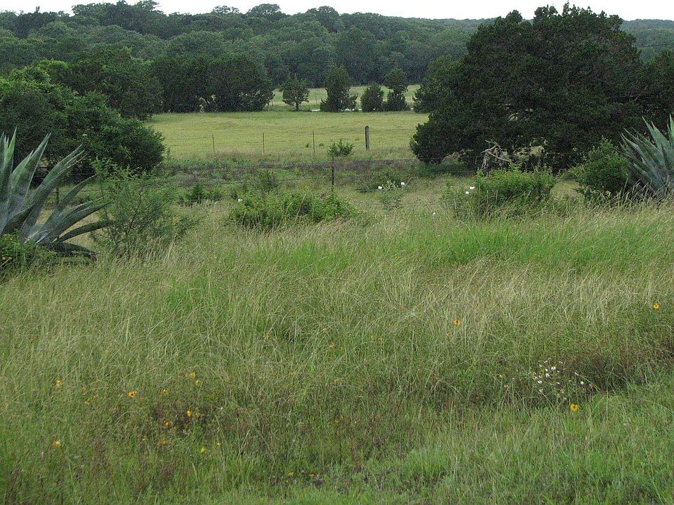 Great bottomland fields