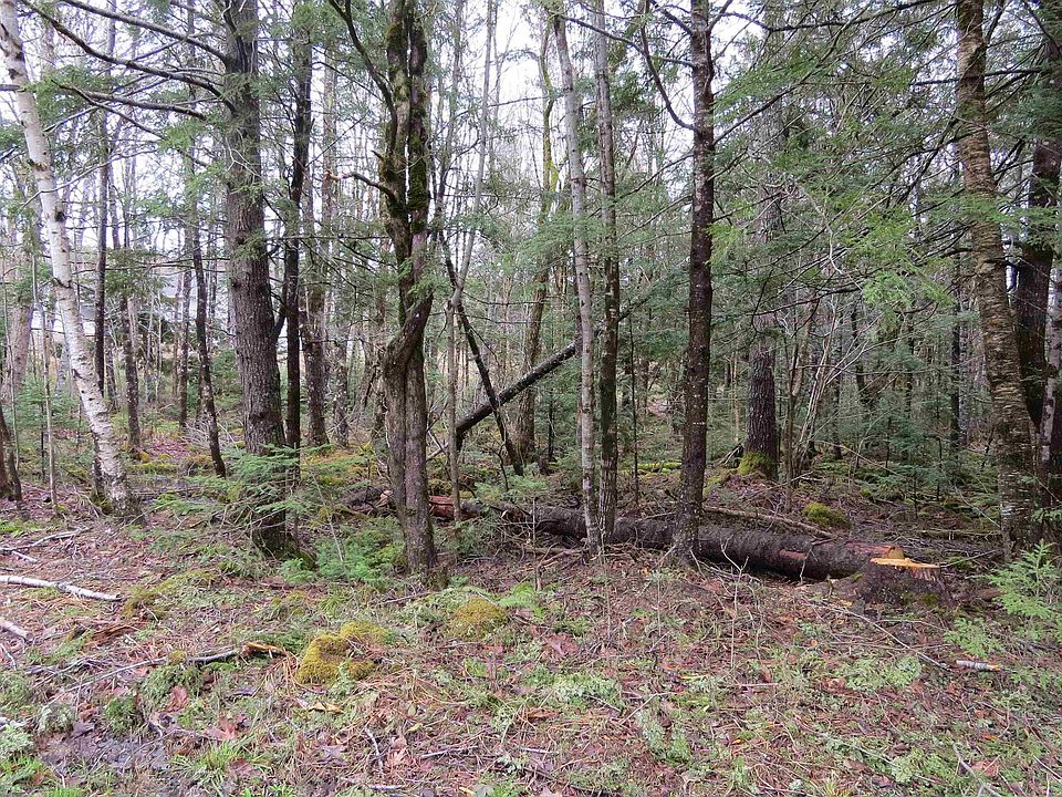 2nd image of Five Pound Rd