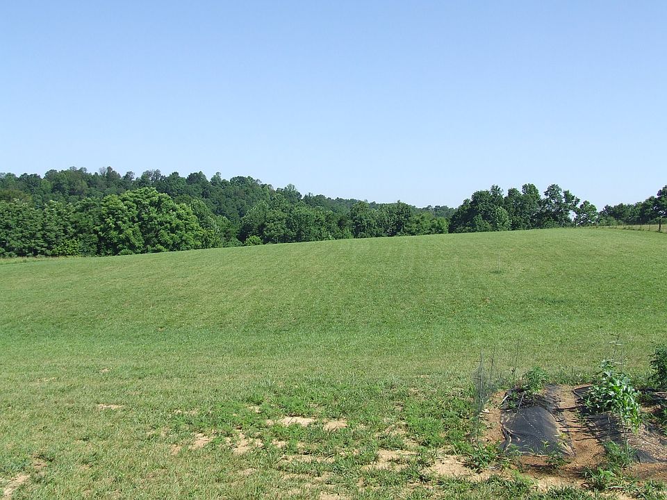 Summer view from back porch