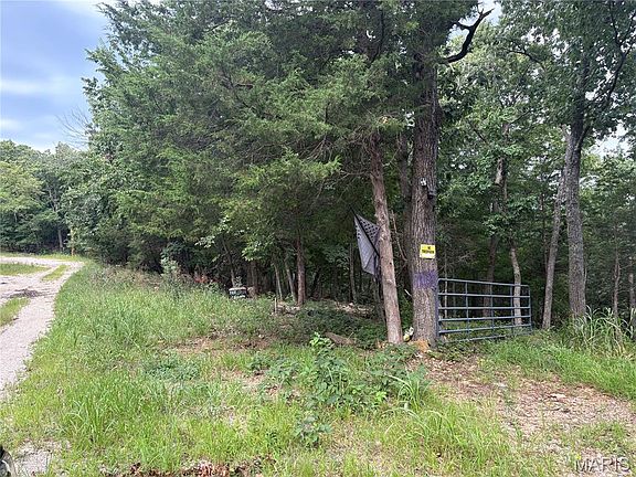 4th image of 1616 Timber Bluff Trl