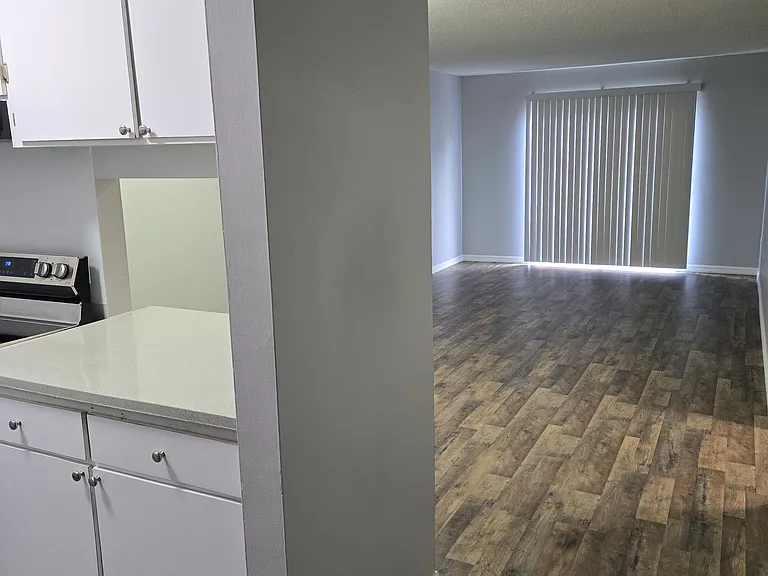 1006 W Baker St #203 — Photo 2