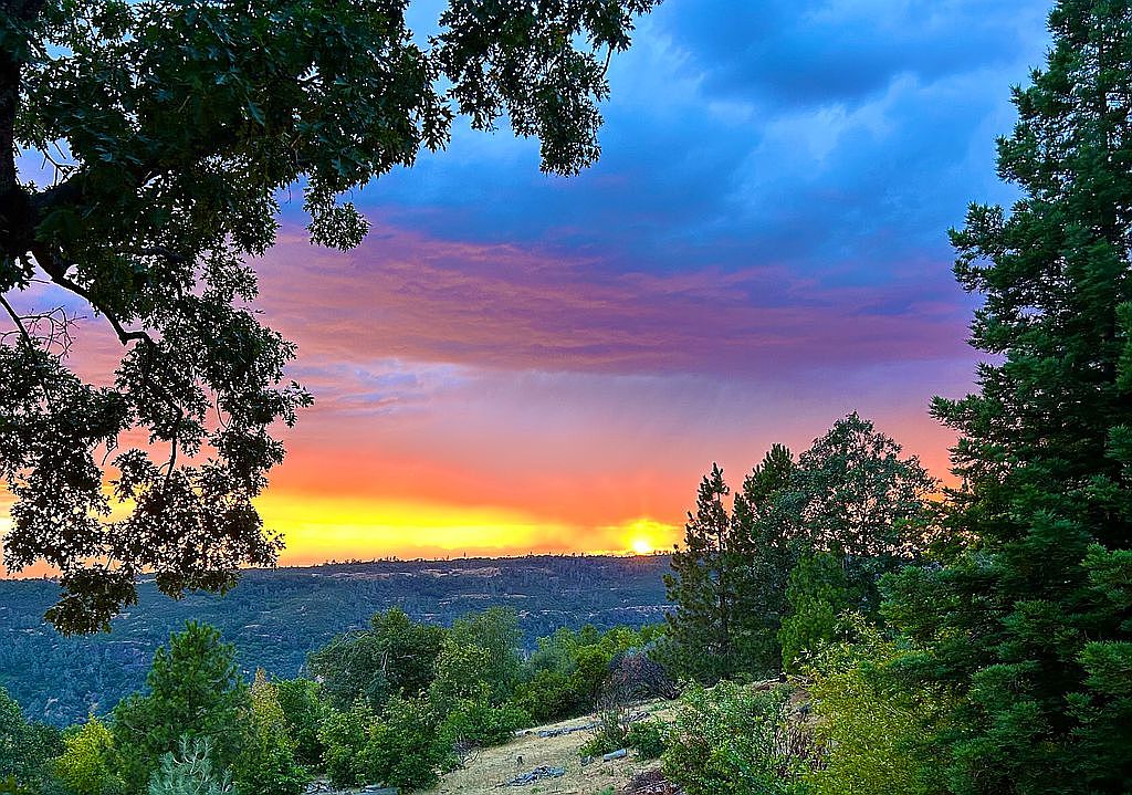 14905 Woodland Park Dr, Forest Ranch, CA 95942 Zillow