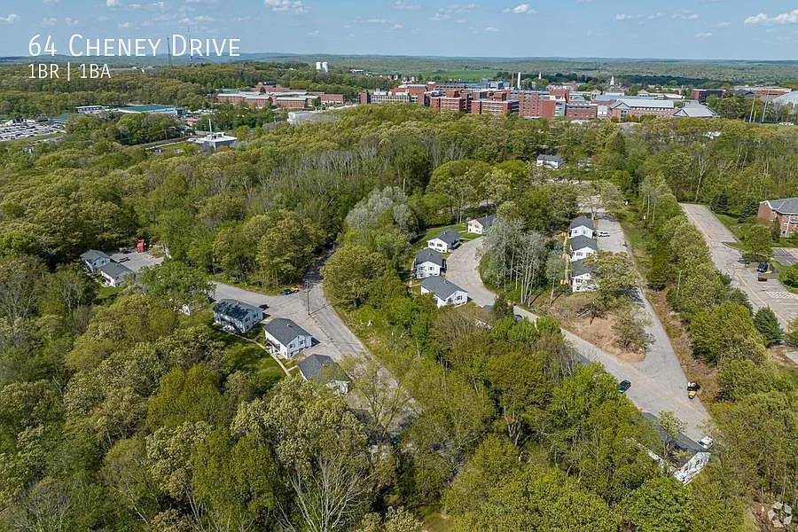 1 bed, 525 sqft, $1,750 — Photo 4
