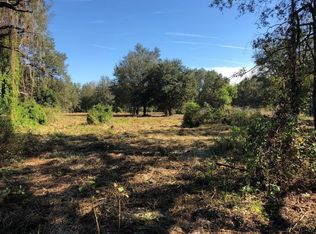 14621 Salem Church Rd, Dover, FL 33527