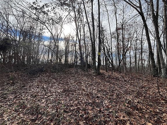 4th image of 0 Durst Ridge Rd Lot Wp001