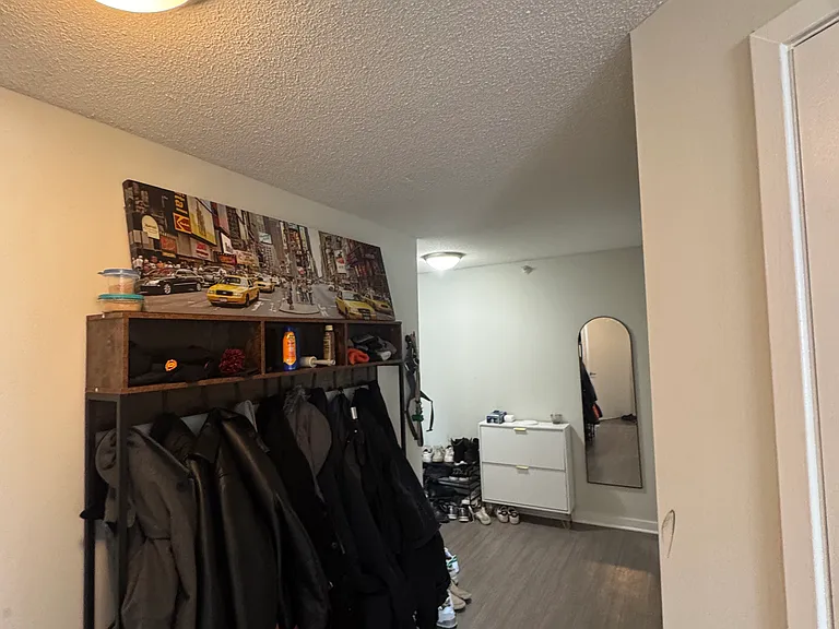 545 N Dearborn St #1307 — Photo 13