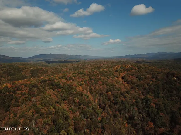 Mount Pleasant Rd, Vonore, TN 37885