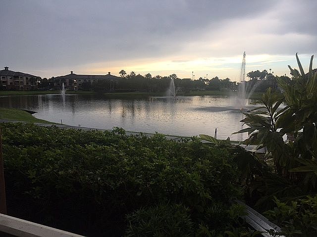 View from LR Patio