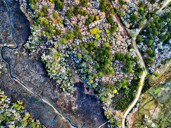 4th image of 0 Cooke Rd Lot 3