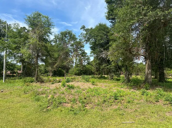 LOT 23 Blue Springs Rd, Albany, GA 31721