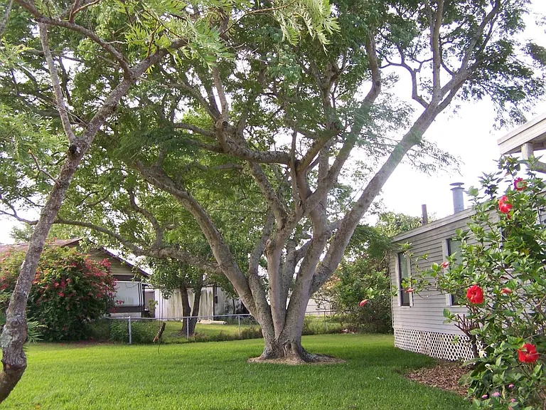 10113 Kenlake Dr — Photo 15