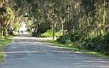 5th image of Mary Avenue Fernandina Beach Amelia Is