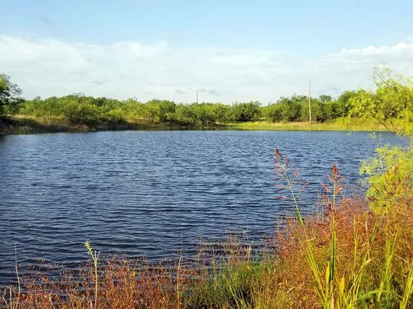 9097 N State Highway 206, Coleman, TX 76834