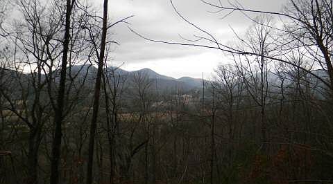 1st image of Bald Eagle Dr #21