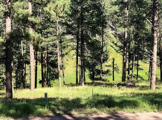 Lot 7 Placer Place, Hill City, SD 57745