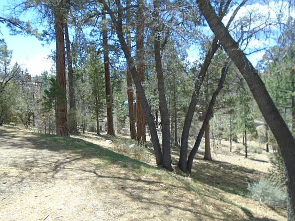 5th image of 866 Moreno Ln