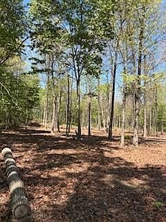 4th image of 731 Remington Rd