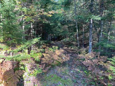 Coutny Rd #436, Gulliver, MI, 49840