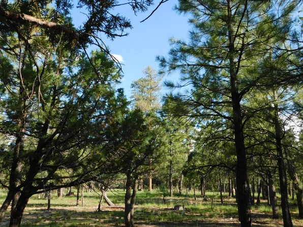 1275 Sunrise Pl, Happy Jack, AZ 86024