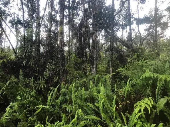 Pahoa Rd Lot 232, Pahoa, HI 96778