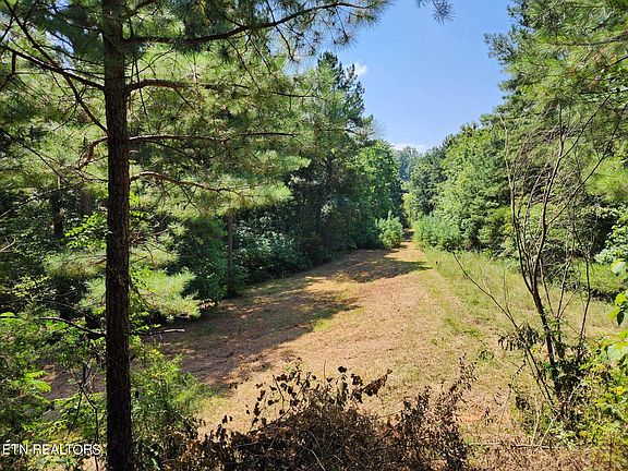 4th image of 1743 Grand Pine Point