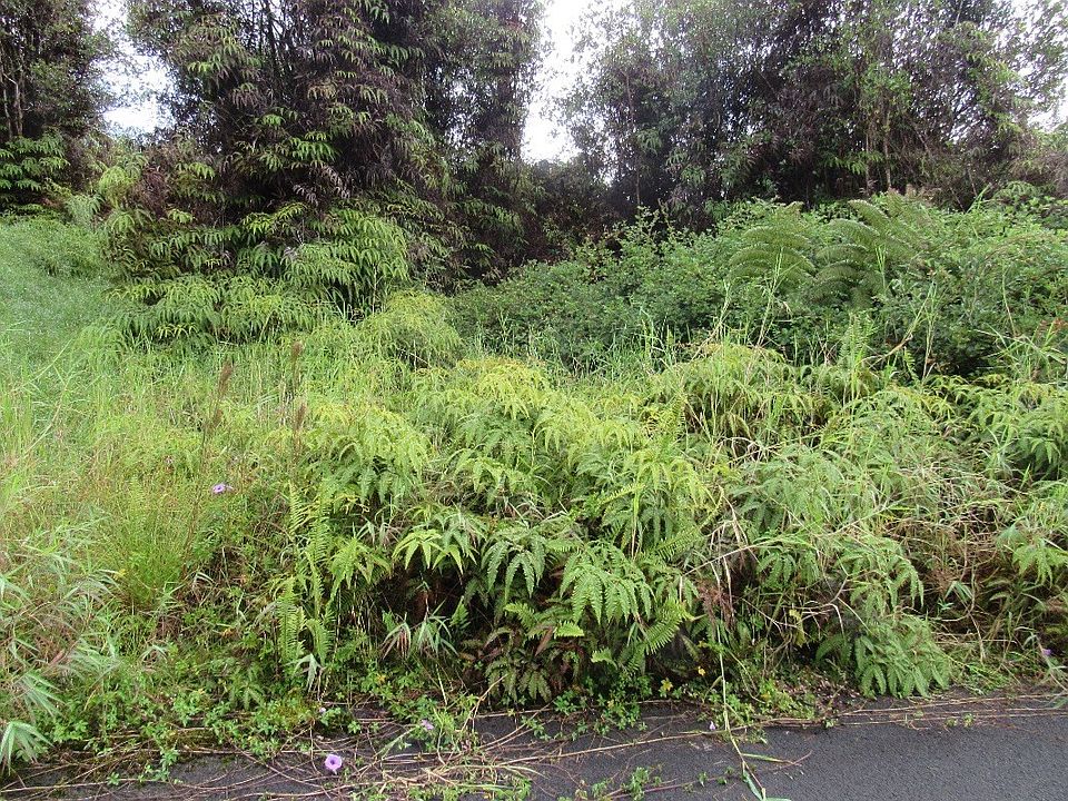 2nd image of Holana St Lot 127
