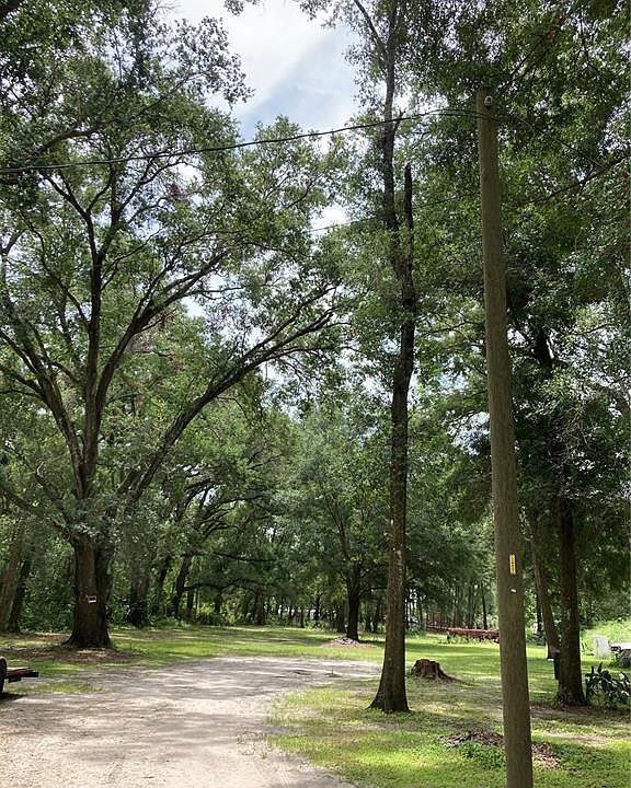 2nd image of Pine Ave