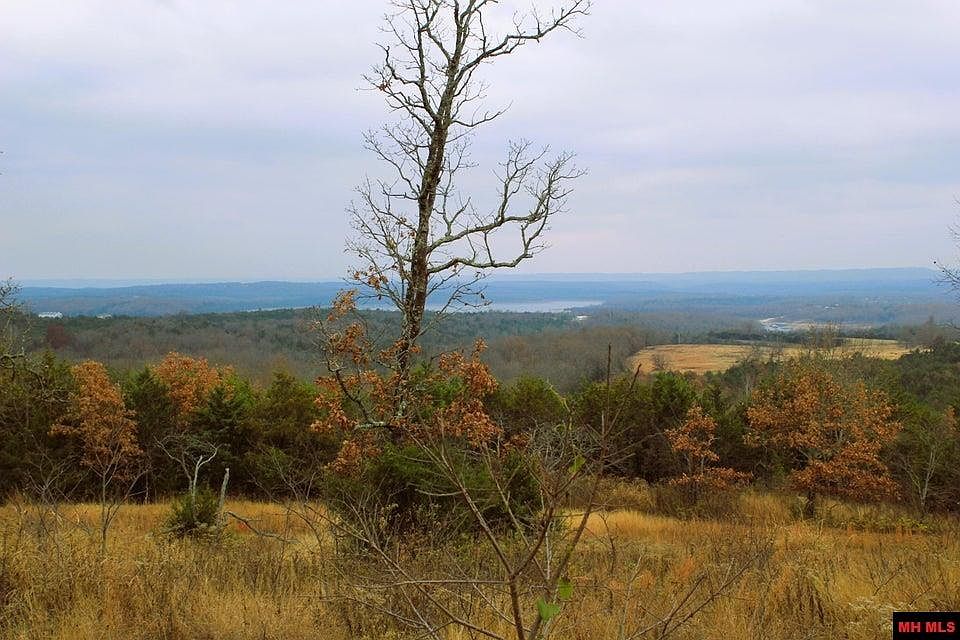 2410110000005 Clarkson Rd, Protem, MO 65733 MLS 127733 Zillow