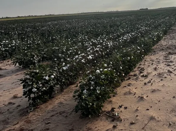 Fm 617, Weinert, TX 76388