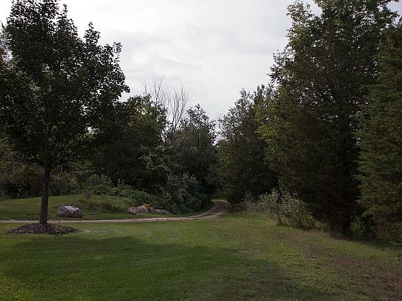 Tree winding entrance