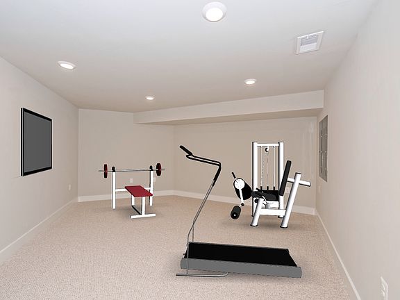 Exercise Room Virtually Stag
