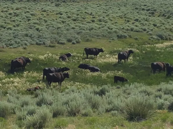 County Road 8, Craig, CO 81625