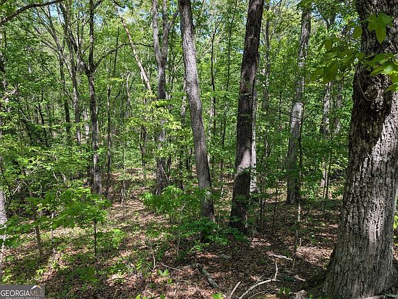 3rd image of 110 Honeysuckle Dr