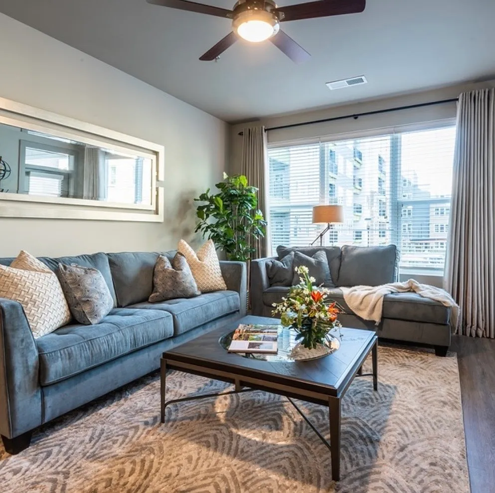 1 bed, 800 sqft, $1,623 — Photo 3