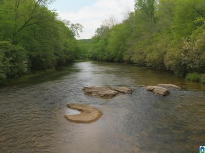 1051 Pate Rd TRACT 5, Cragford, AL, 36255