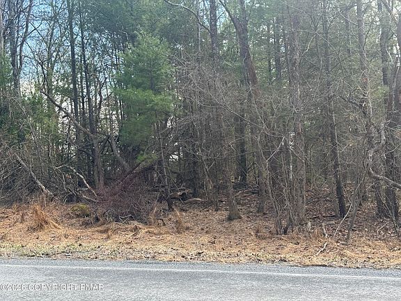 5th image of 1369 Twin Pine Rd