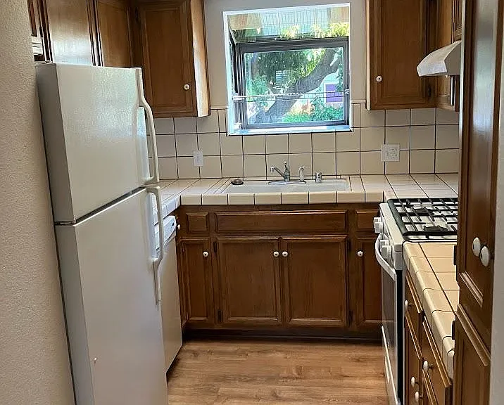 Kitchen with Gas Stove, Fridge, Dishwasher, Skylight and Greenhouse Window