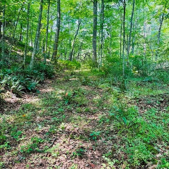 1st image of TBD Grassy Creek Road