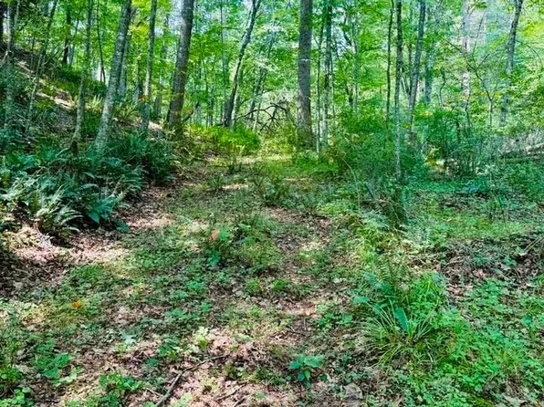 TBD Grassy Creek Road, Grassy Creek, NC 28631