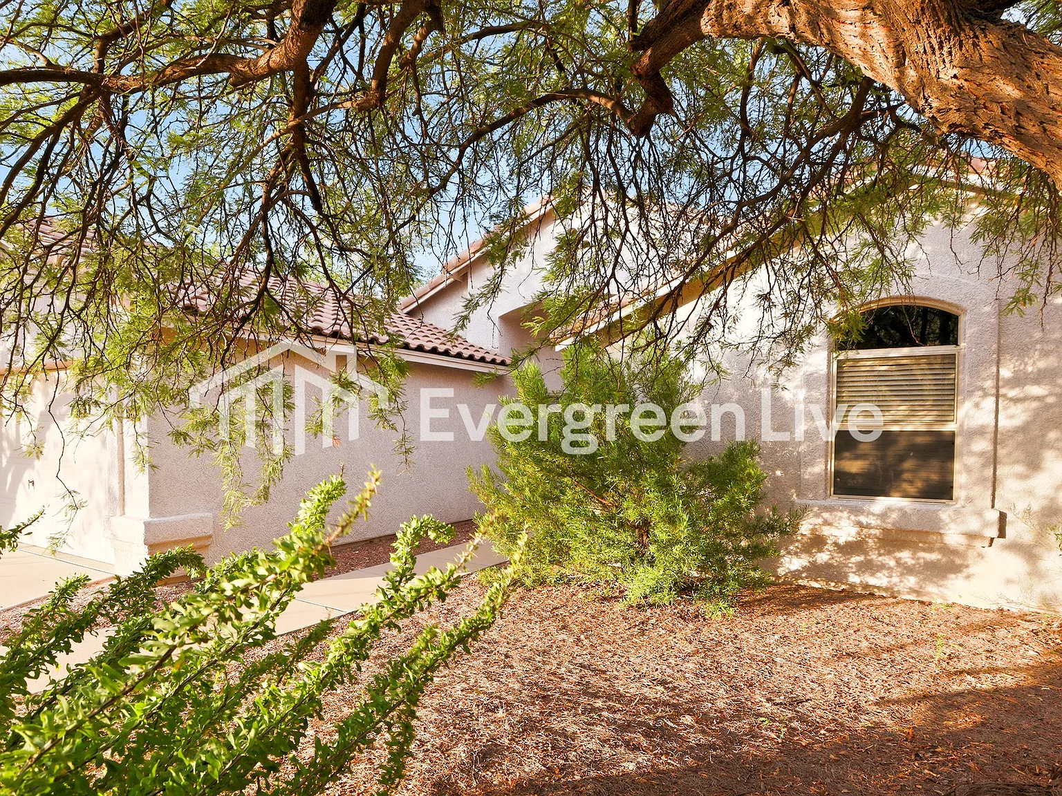 3 bed, 2.0 bath, 1517 sqft, $1,795 — Photo 2
