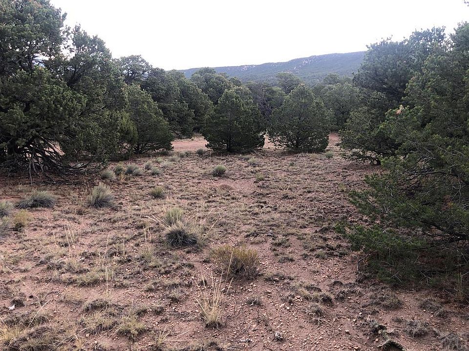 1st image of 90 Colorado Land Grazing
