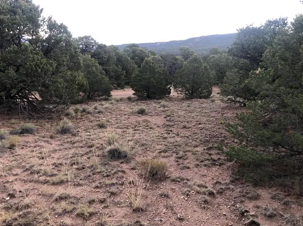 90 Colorado Land Grazing, Gardner, CO 81040