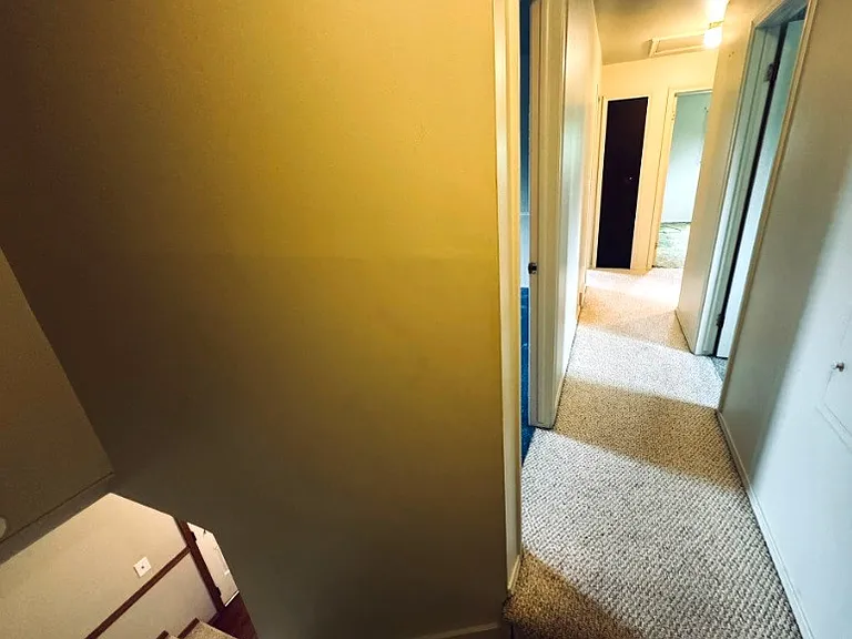 5423 Ameno Ln — Photo 12